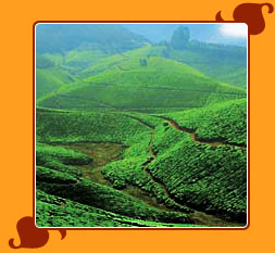  Munnar